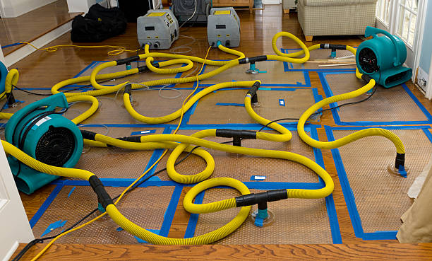 Professional Water Damage Restoration technician working in Hilliards, PA